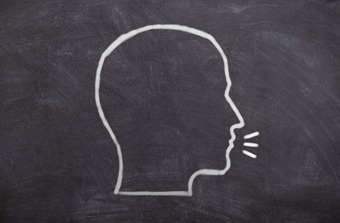 La Regione Istriana prosegue con l'organizzazione della formazione professionale per insegnanti e professori di lingua italiana