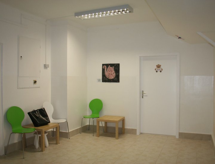 Istarski župan otvorio Ispostavu Dnevnog centra za rehabilitaciju Veruda u Poreču