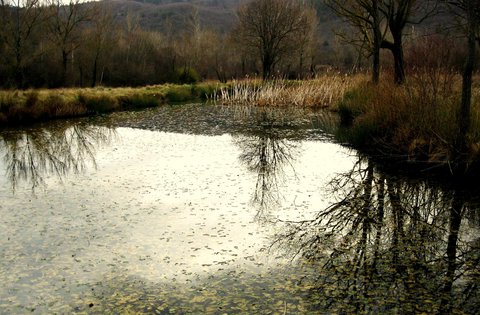 Objavljen Javni poziv za financiranje projekata udruga koje doprinose razvoju zelenog i inkluzivnog turizma, te selektivnih turističkih proizvoda na turistički manje razvijenim područjima