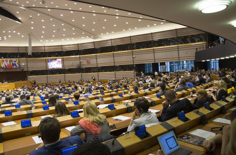 Župan Flego na 119. Plenarnom zasjedanju Odbora regija