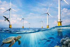 Poziv na sudjelovanje u Ljetnoj školi projekta BEYOND; Pregled aktualnog ekološkog konteksta te razumijevanje mogućih ekoloških implikacija pučinskih vjetroelektrana